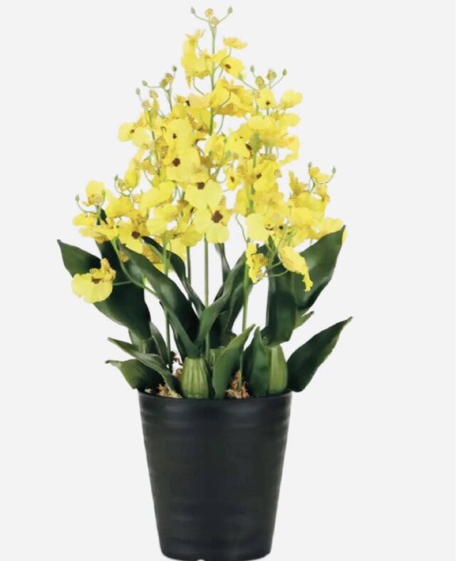 光触媒 人工観葉植物 ウォールグリーン フェイクグリーン 