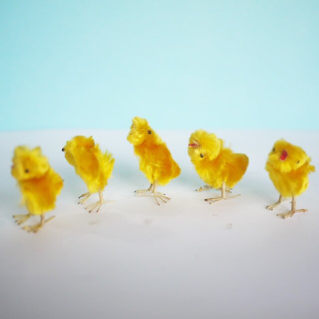 小さなひよこ5羽 モール人形 モールひよこ イースターひよこ ドイツ