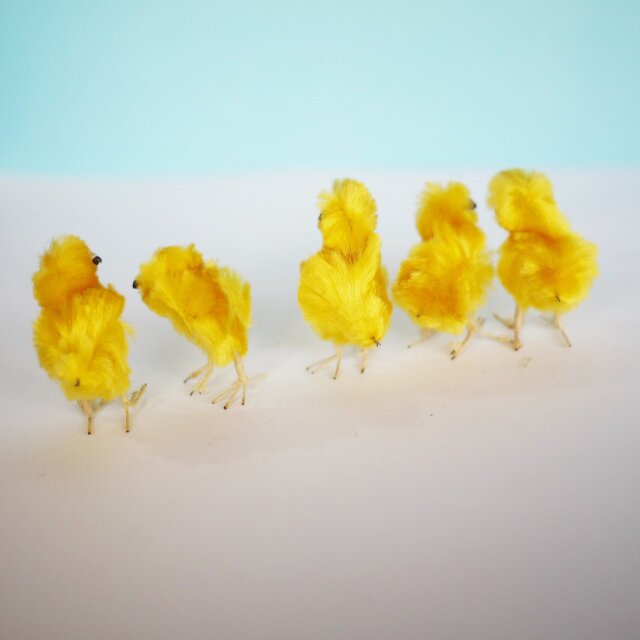 小さなひよこ5羽 モール人形 モールひよこ イースターひよこ ドイツ