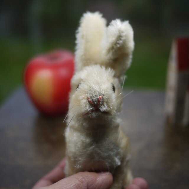 古いぬいぐるみ STEIFF ウサギ Sonny Hase ドイツヴィンテージ | iichi