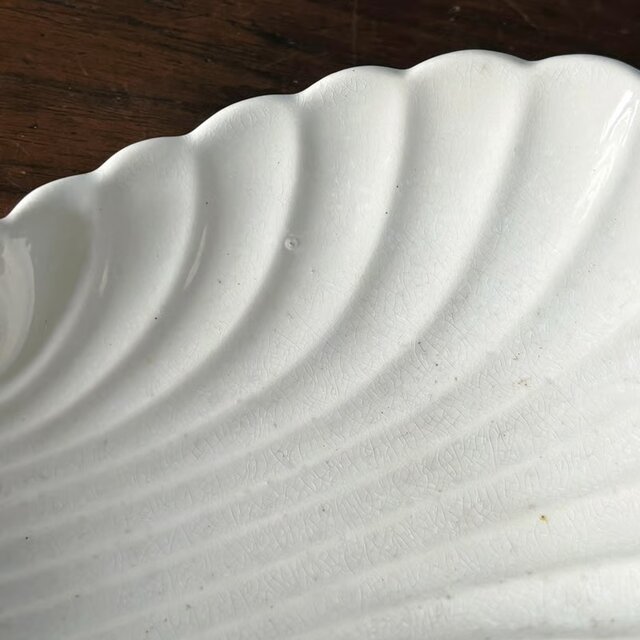 白陶器 シェル ラヴィエ サルグミンヌ フランス アンティーク 0502033