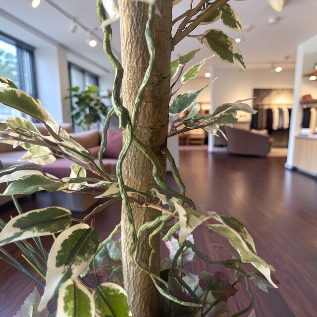 光触媒 人工観葉植物 ウォールグリーン フェイクグリーン 斑入り 