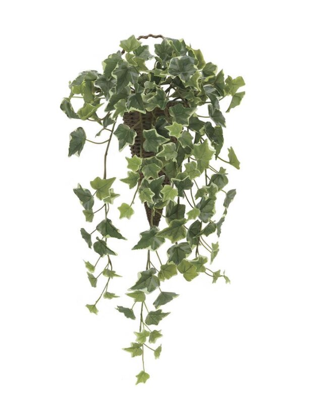 光触媒 人工観葉植物 ウォールグリーン フェイクグリーン 壁掛け斑入り