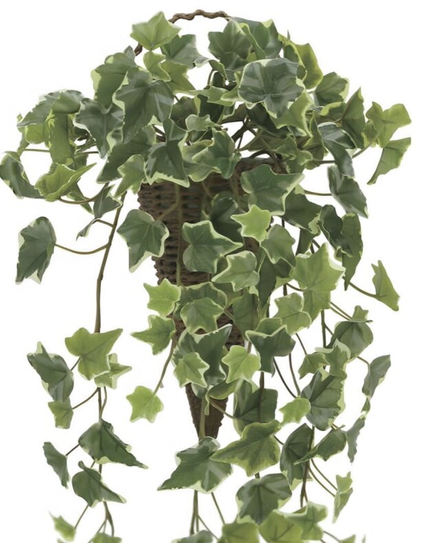 光触媒 人工観葉植物 ウォールグリーン フェイクグリーン 壁掛け斑入り