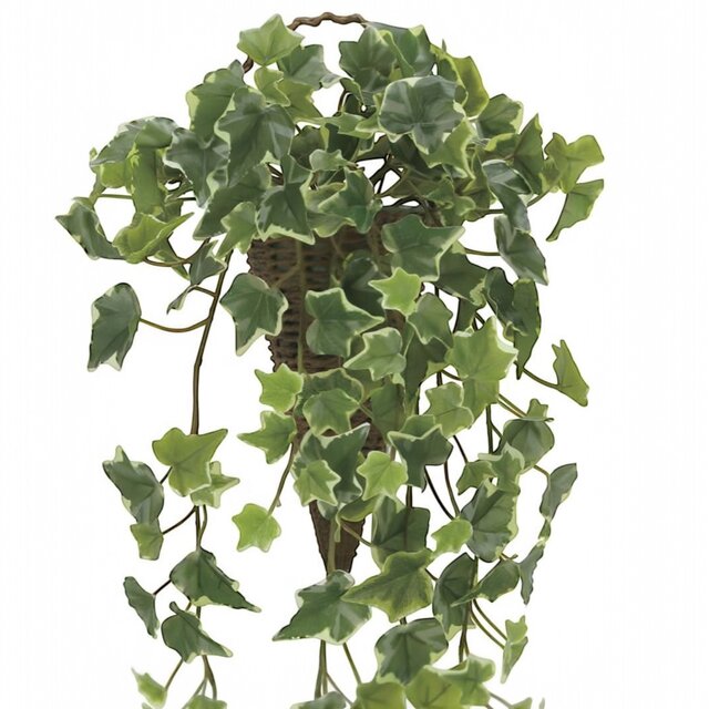 光触媒 人工観葉植物 ウォールグリーン フェイクグリーン 壁掛け斑入り