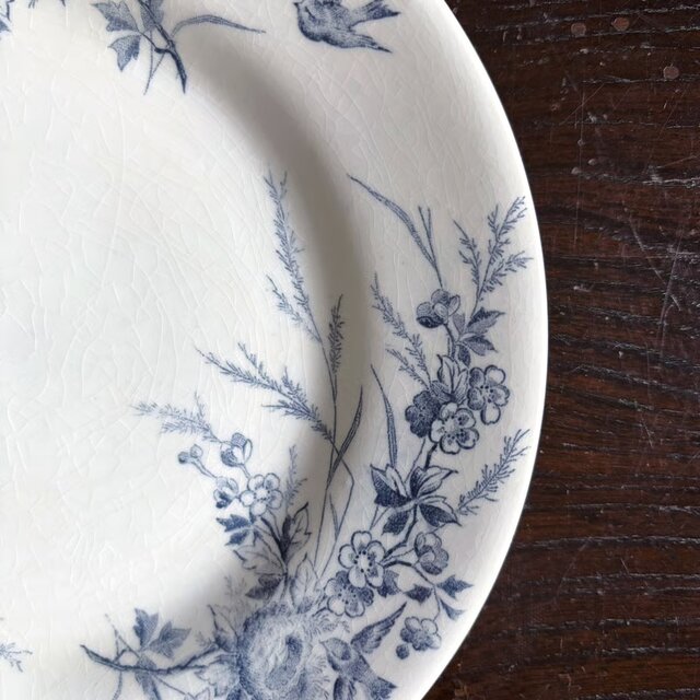 【フランスアンティーク】18~19世紀　サン・クレモン　白釉　髭皿 Creil&Montereau Linotte 平皿 20.8cm フランス アンティーク a