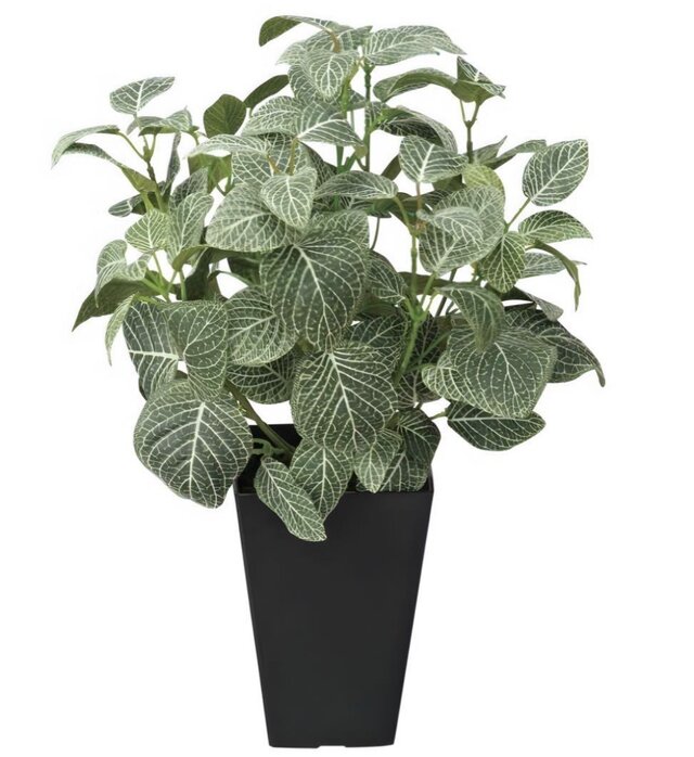 光触媒 人工観葉植物 ウォールグリーン フェイクグリーン フィットニア
