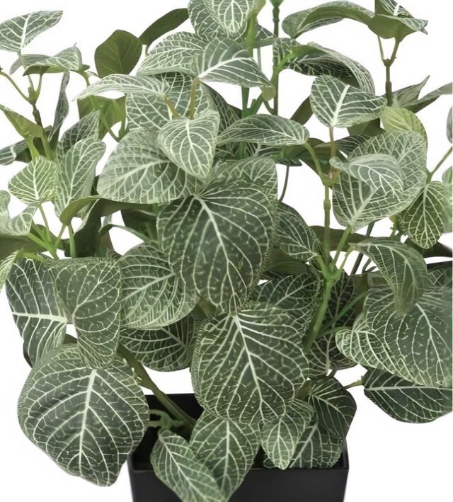 光触媒 人工観葉植物 ウォールグリーン フェイクグリーン フィットニア