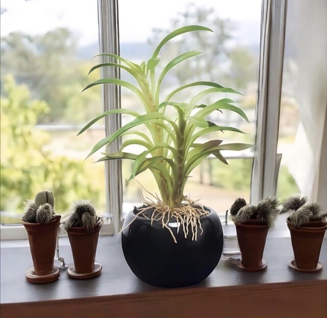 光触媒 人工観葉植物 ウォールグリーン フェイクグリーン ライムポトス
