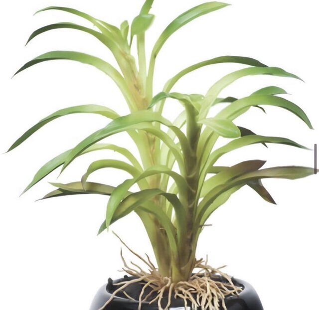 光触媒 人工観葉植物 ウォールグリーン フェイクグリーン 光触媒 人工観葉植物 ウォールグリーン フェイクグリーン