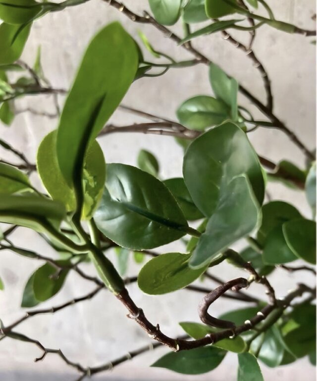光触媒 人工観葉植物 ウォールグリーン フェイクグリーン ドウダン花器 