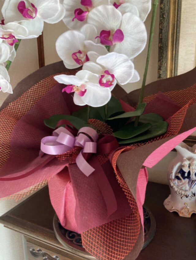 光触媒 人工観葉植物 ウォールグリーン フェイクグリーン 胡蝶蘭