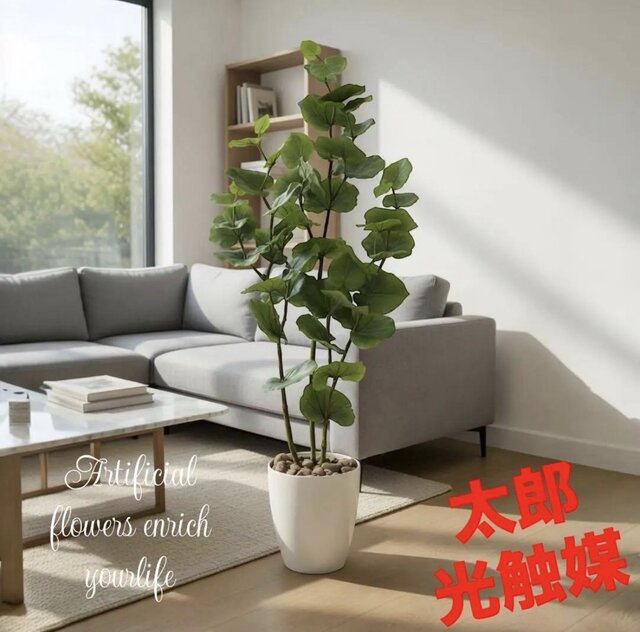 光触媒　人工観葉植物　ウォールグリーン　フェイクグリーン　ゾウs 光触媒 人工観葉植物 ウォールグリーン フェイクグリーン シーグレープ