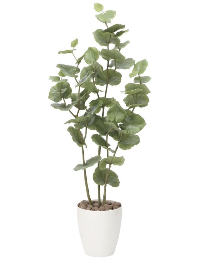 光触媒 人工観葉植物 ウォールグリーン フェイクグリーン シーグレープ
