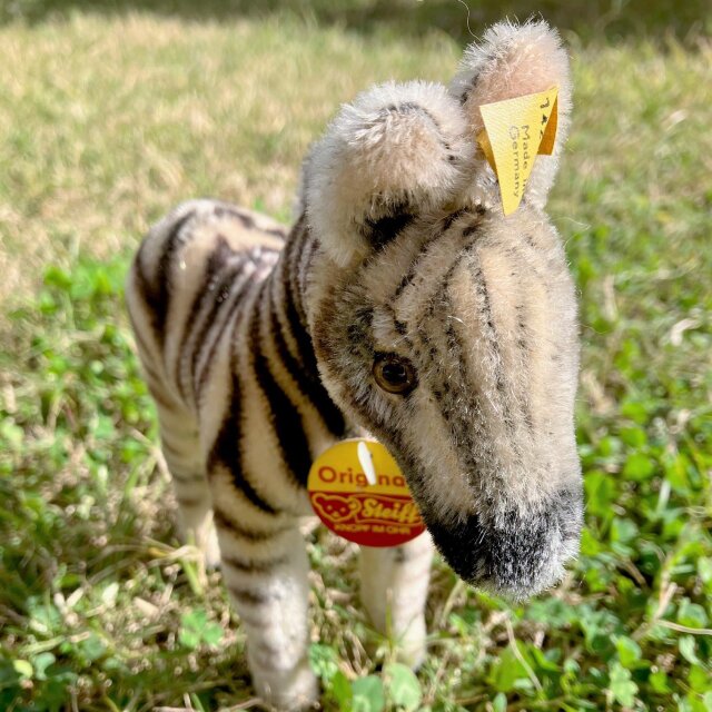 シュタイフ Zebra しまうま STEIFF ドイツ | iichi 日々の暮らしを