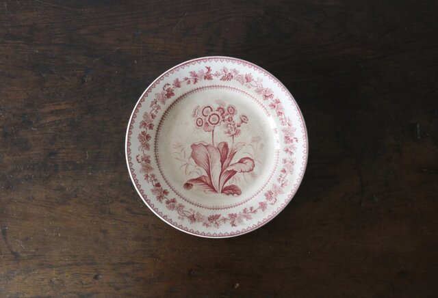 Creil クレイユ 平皿 植物柄 20.5cm フランス アンティーク b 0502341