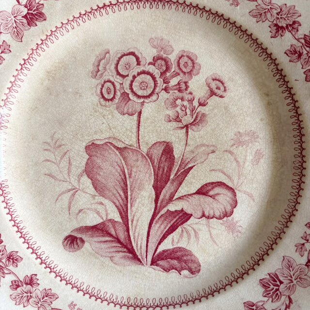 Creil クレイユ 平皿 植物柄 20.5cm フランス アンティーク b 0502341