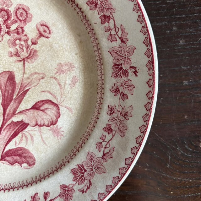 Creil クレイユ 平皿 植物柄 20.5cm フランス アンティーク b 0502341