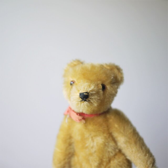 Steiff シュタイフ オリジナル テディベア 15cm ドイツ | iichi 日々の