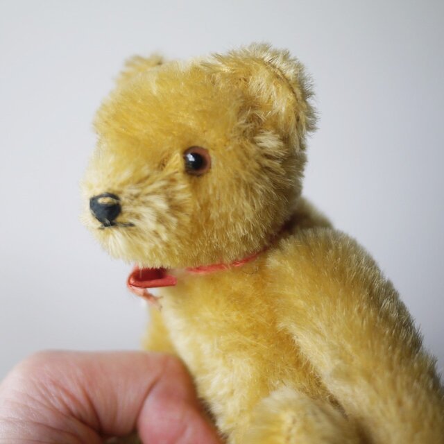 Steiff シュタイフ オリジナル テディベア 15cm ドイツ | iichi 日々の