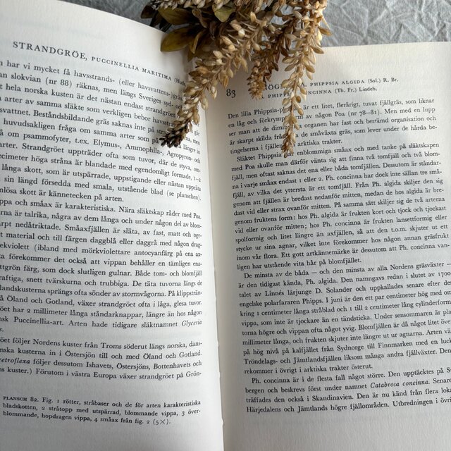 Sweden secondhand book ❀⁎༶スウェーデンの植物図鑑 Nordens Flora 2