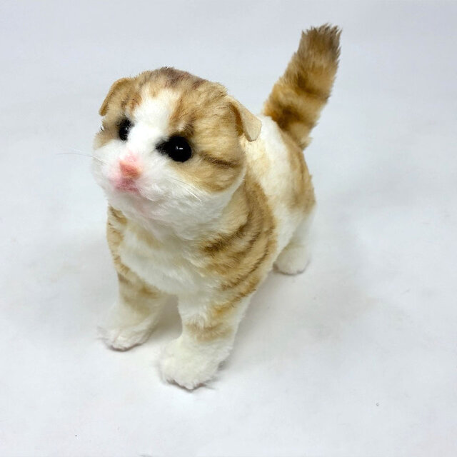 受注制作＞子猫のぬいぐるみ スコティッシュフォールド | iichi 日々の