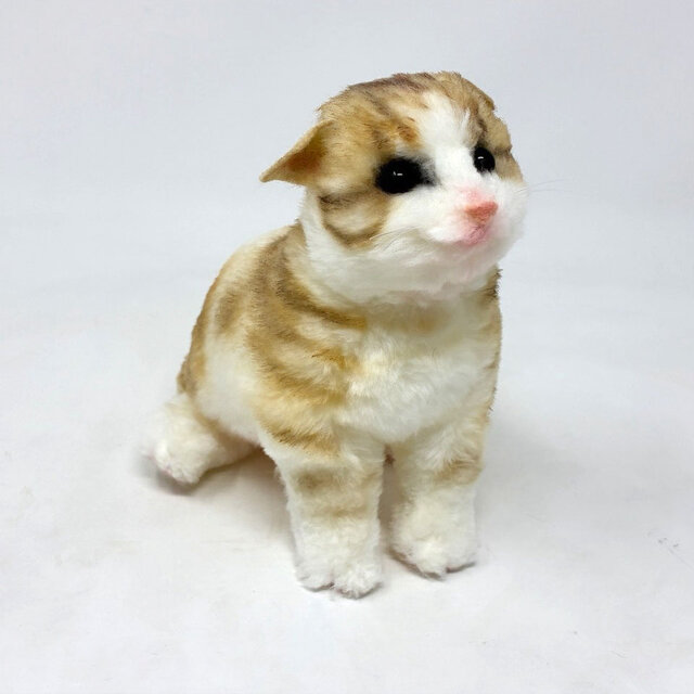 受注制作＞子猫のぬいぐるみ スコティッシュフォールド | iichi 日々の