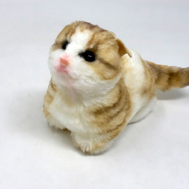 受注制作＞子猫のぬいぐるみ スコティッシュフォールド | iichi 日々の