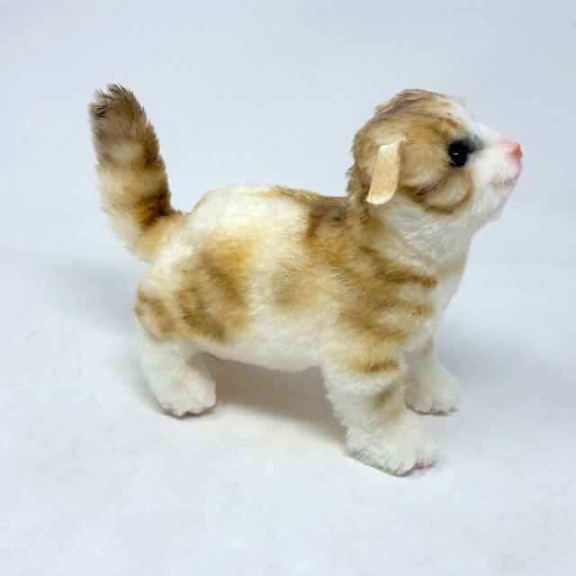 受注制作＞子猫のぬいぐるみ スコティッシュフォールド | iichi 日々の