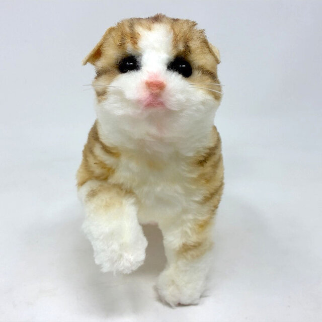 受注制作＞子猫のぬいぐるみ スコティッシュフォールド | iichi 日々の