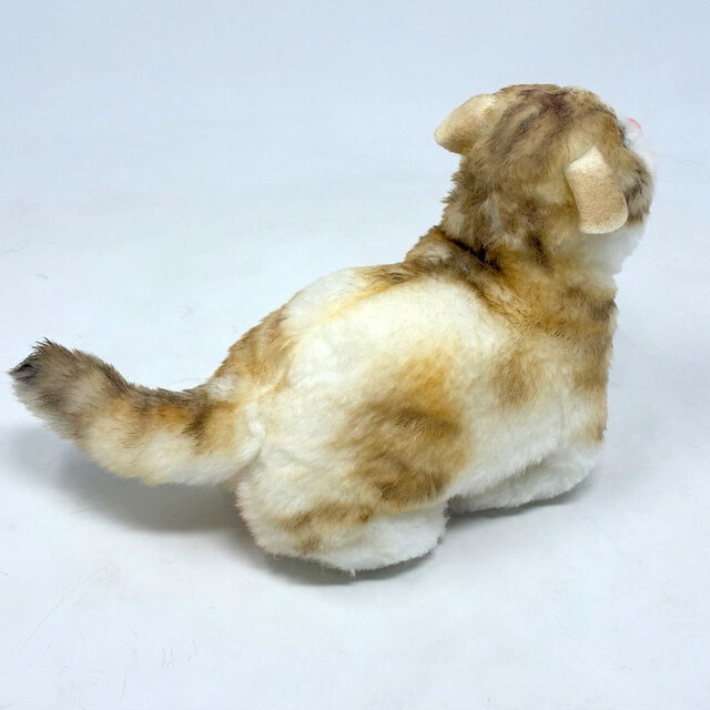 受注制作＞子猫のぬいぐるみ スコティッシュフォールド | iichi 日々の