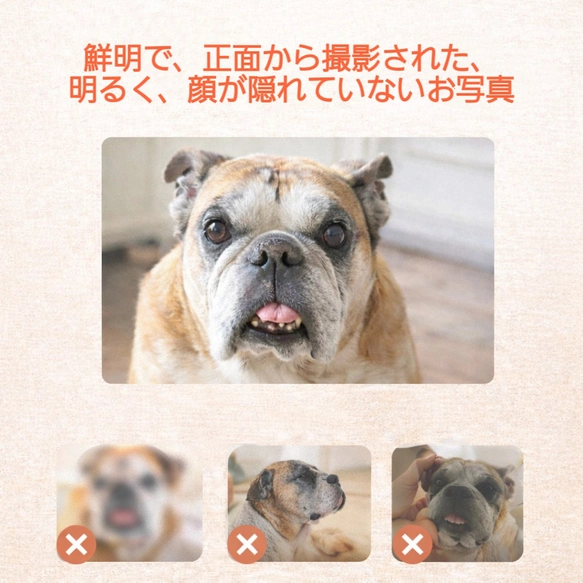 ペット絨毯・ラグ・マット 王室風肖像画｜うちの子写真から作る