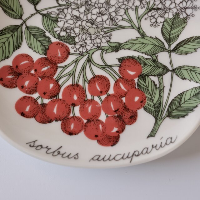 ARABIA Botanica 
