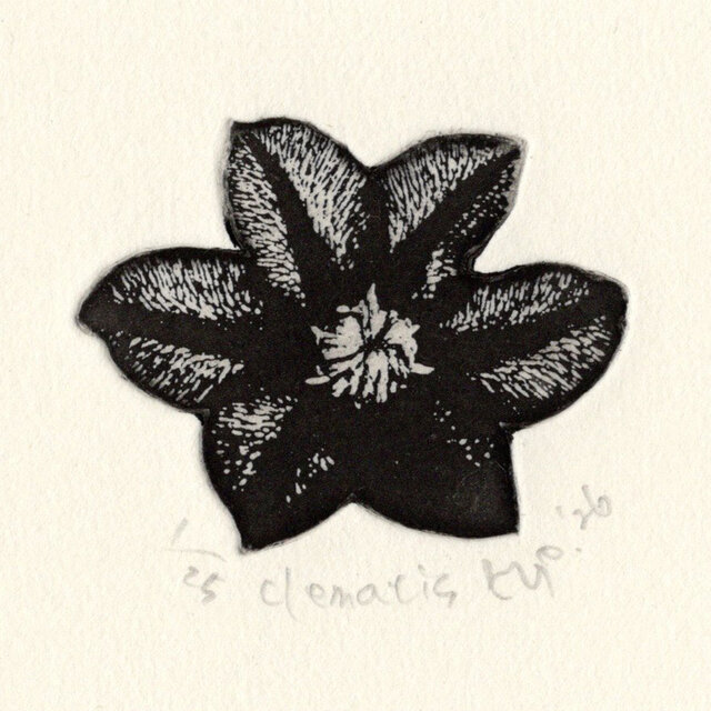 版画ゆうびん no.37 'clematis'（銅版画） | iichi 日々の暮らしを