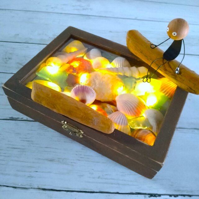 ☆貝殻は自然制作ですので変わります☆貝がらキラキラ・のっさむ君