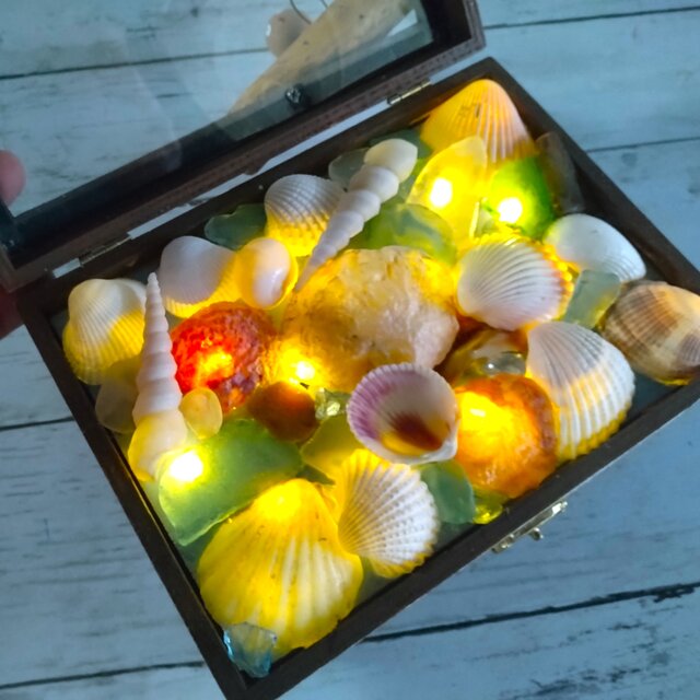 ☆貝殻は自然制作ですので変わります☆貝がらキラキラ・のっさむ君