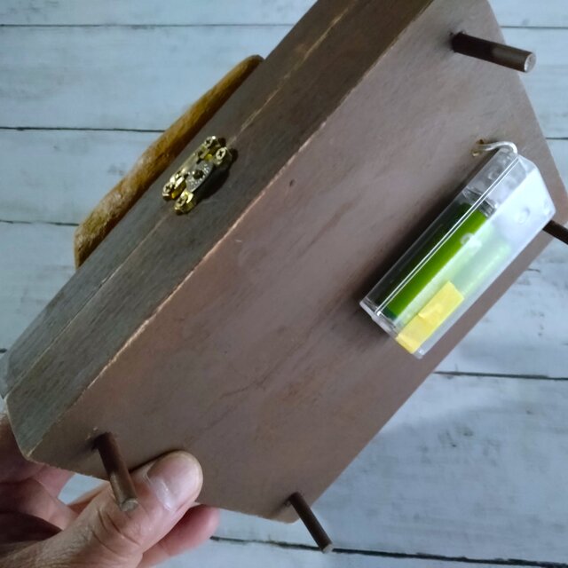 ☆貝殻は自然制作ですので変わります☆貝がらキラキラ・のっさむ君