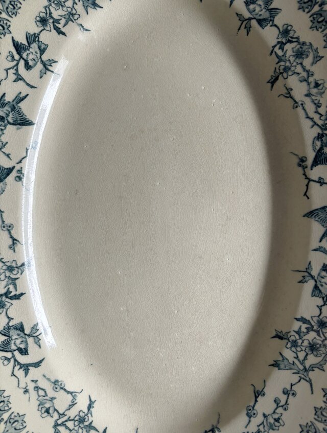 Choisy le Roi オーバル皿 楕円皿 36cm Lyonnais フランス