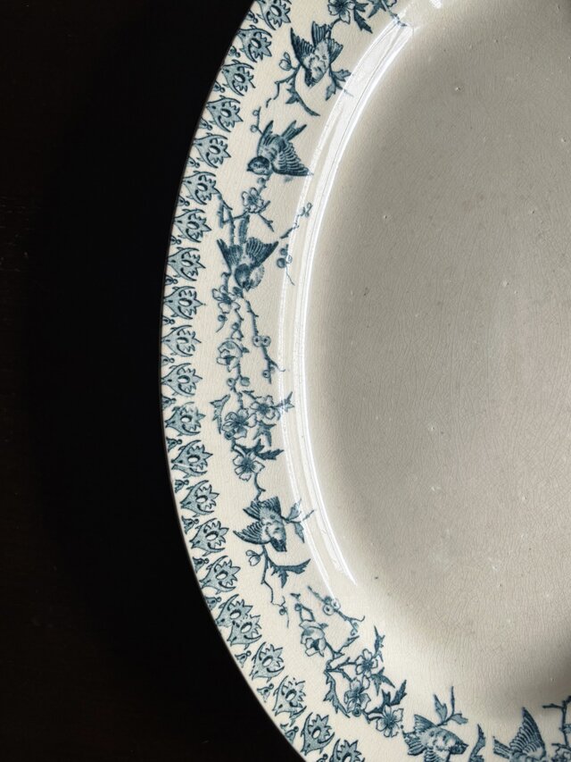 Choisy le Roi オーバル皿 楕円皿 36cm Lyonnais フランス
