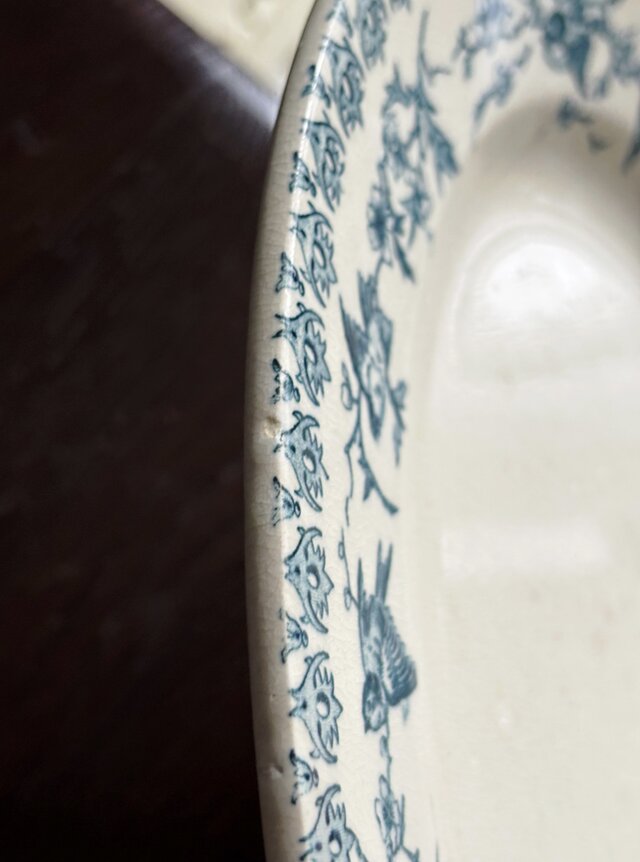 Choisy le Roi オーバル皿 楕円皿 36cm Lyonnais フランス
