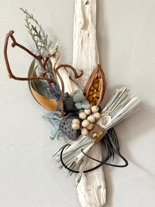 Botanical Wall Object ― 流木の標本 02 | iichi 日々の暮らしを