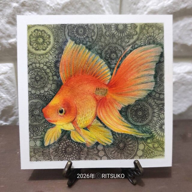 肉筆 原画 1点もの ボールペン画 日本人作家 色鉛筆画 金魚 金魚の絵