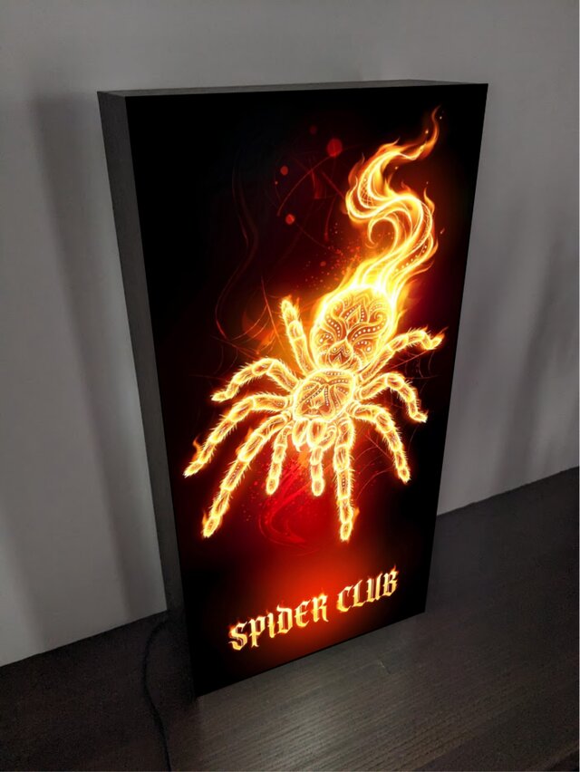 オーダー無料】蜘蛛 毒クモ タランチュラ スパイダー タトゥー ロック 
