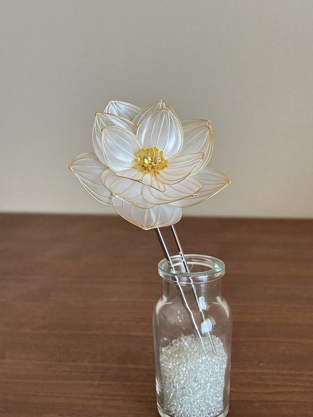蓮かんざし：水の花-白蓮2026'- | iichi 日々の暮らしを心地よくする