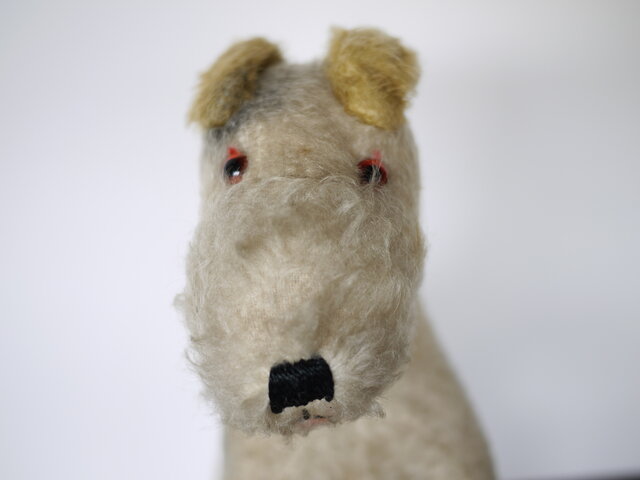 フォックス・テリア 犬のぬいぐるみ ドイツ アンティーク | iichi 日々