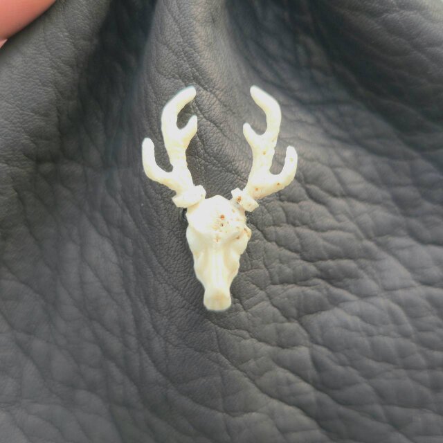 鹿革の巾着 鹿角頭骨ボタン | iichi 日々の暮らしを心地よくする