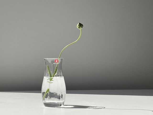 iittala】Ulpukka ヴィンテージフラワーベース・ Timo Sarpaneva