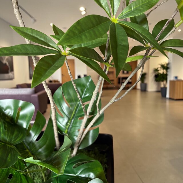 光触媒　人工観葉植物　ウォールグリーン　フェイクグリーン　スリムバウヒニア1.5 光触媒 人工観葉植物 ウォールグリーン フェイクグリーン スリムパキラ フィカス