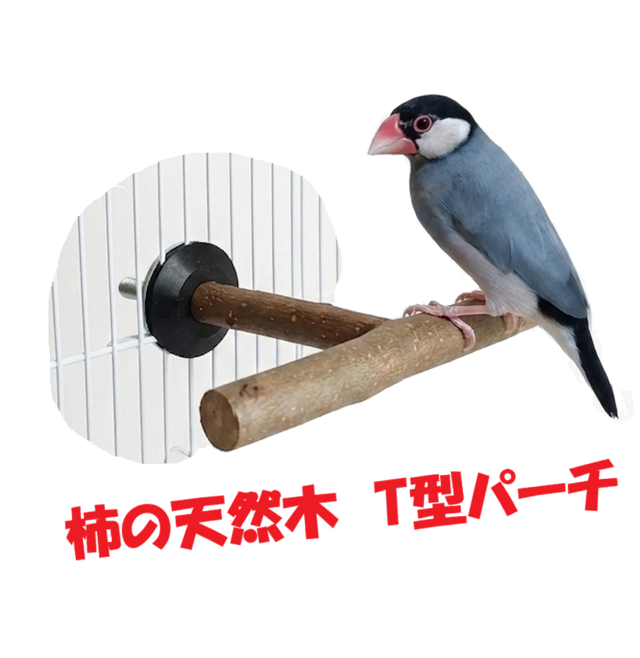 T型パーチ＜柿の天然木＞止まり木、文鳥、インコ、オウム、小鳥