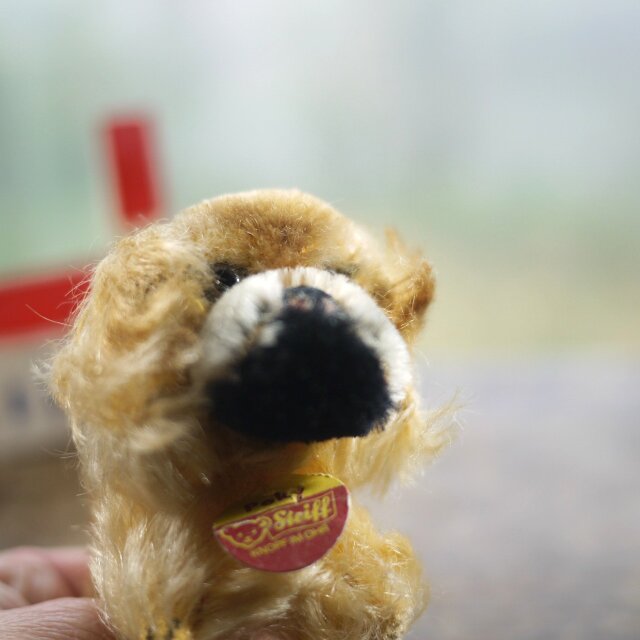 シュタイフ Peky ペキニーズ STEIFF ドイツ | iichi 日々の暮らしを